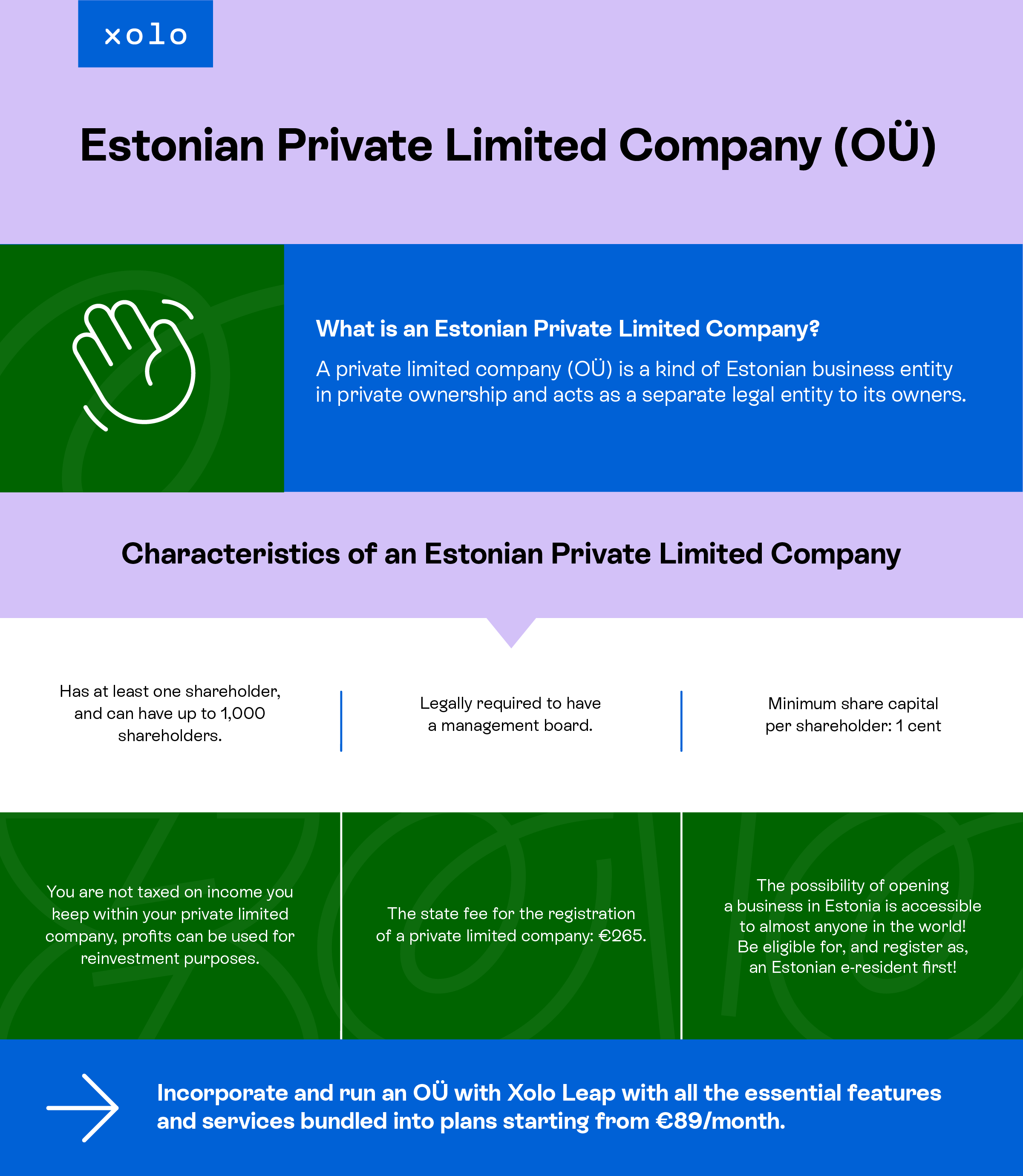 Estonian Private Limited Company (OÜ)
