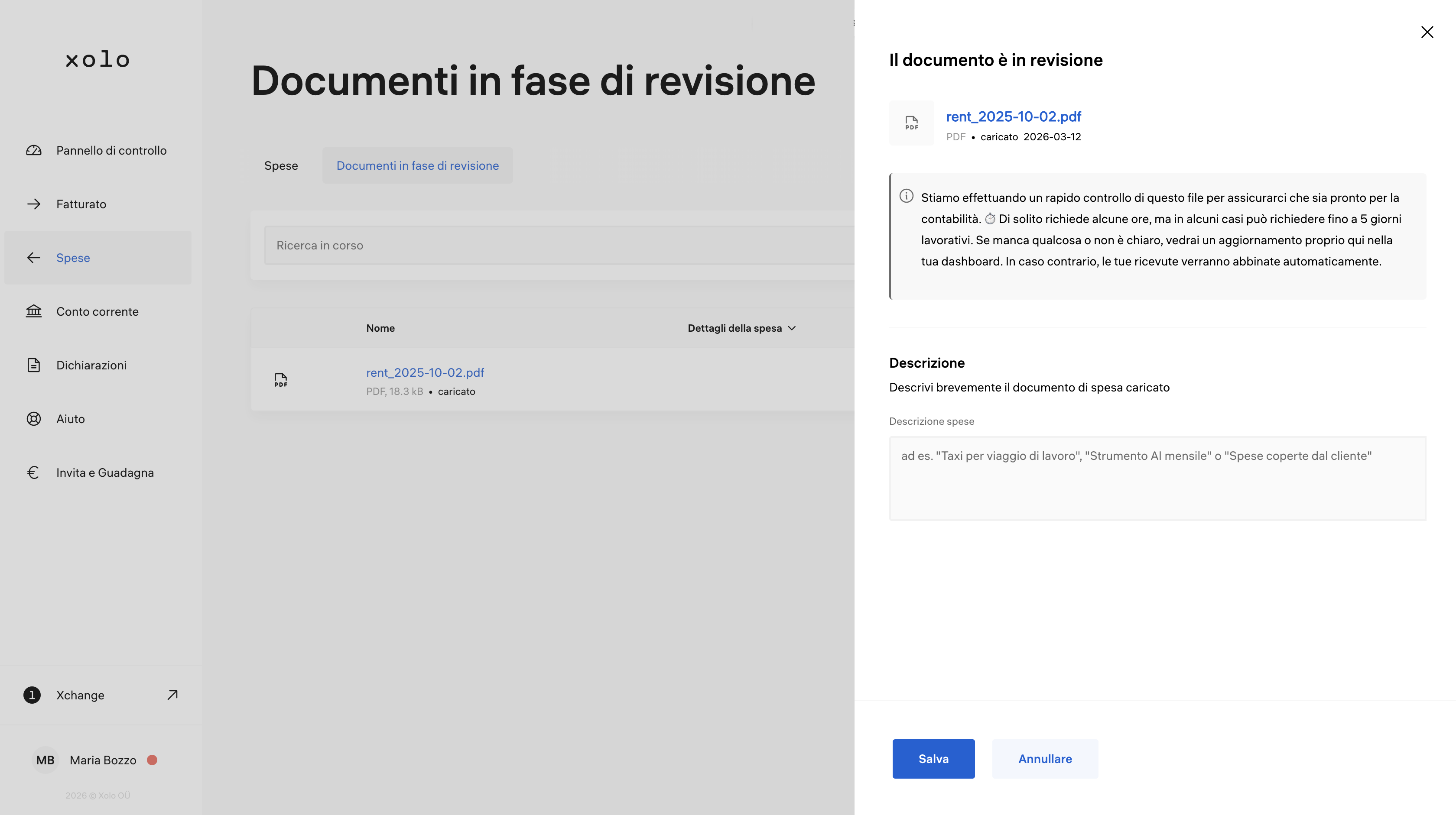 IT_Expense_Review_Xolo_Italy